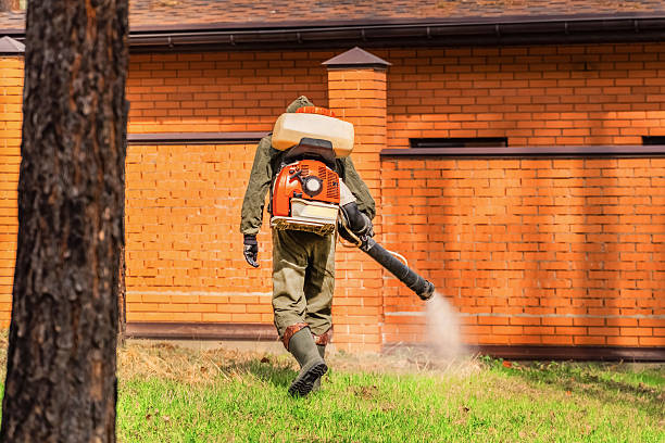 Bed Bug Clearance Verification and Documentation in North Caldwell